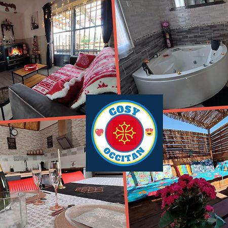 Le Cosy Occitan Villa Chaleureuse Independante Baignoire Terrasse Jardin Каркасон Екстериор снимка