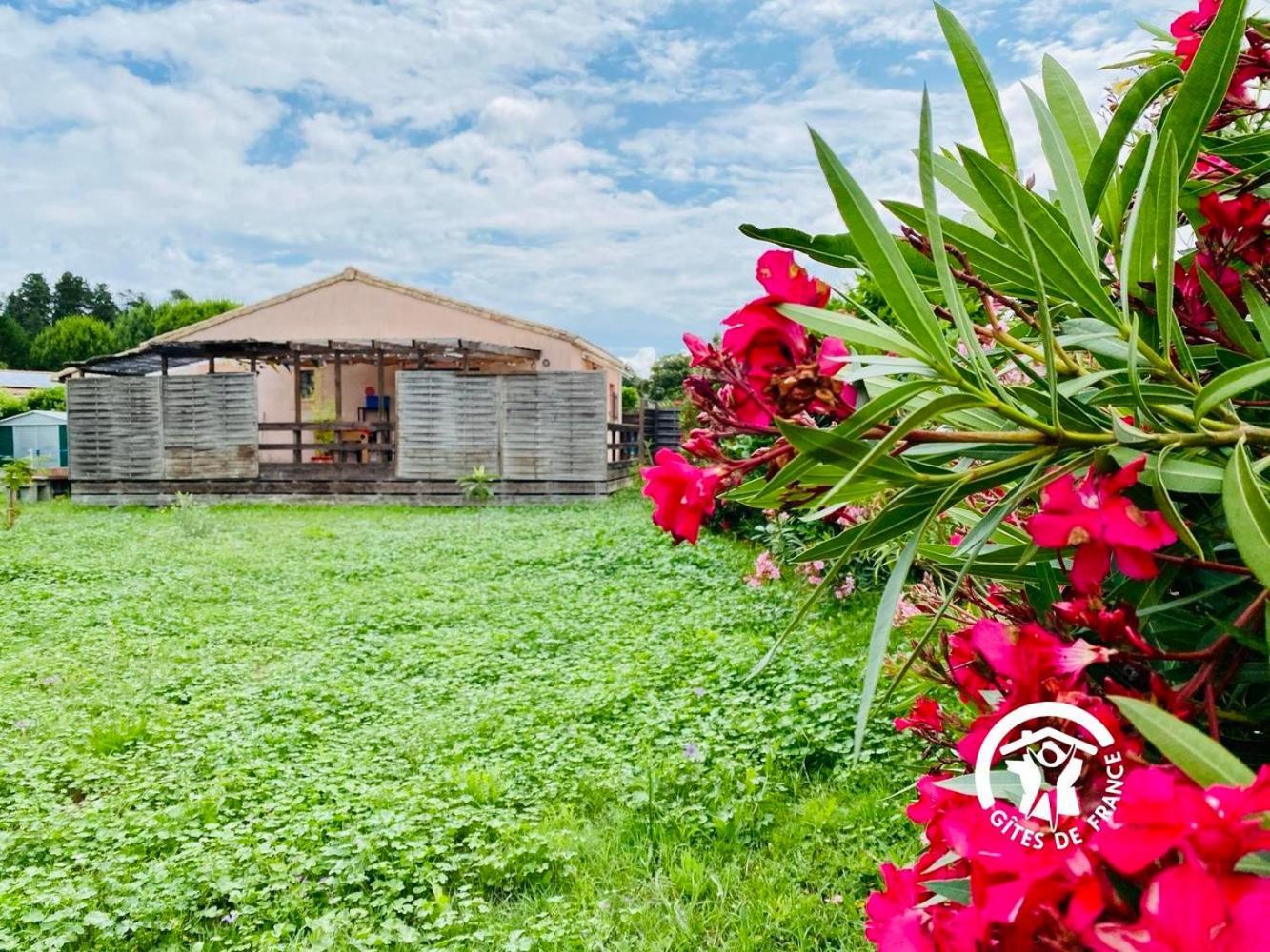 Le Cosy Occitan Villa Chaleureuse Independante Baignoire Terrasse Jardin Каркасон Екстериор снимка